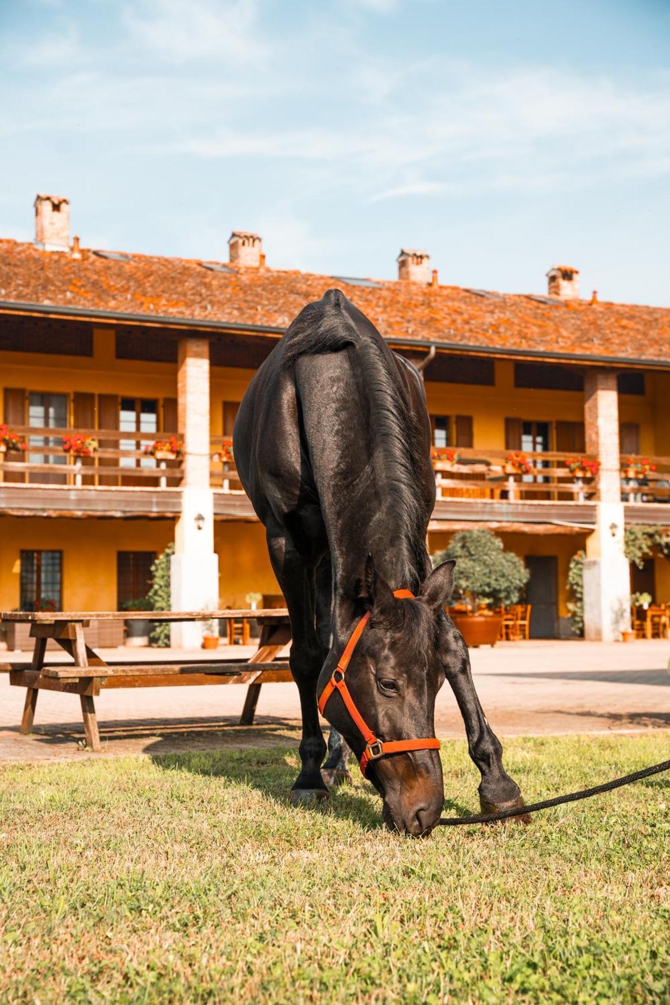 Agriturismo Bassanella トレヴィーリオ エクステリア 写真